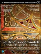 Big Data Fundamentals: Concepts, Drivers & Techniques, 1st edition