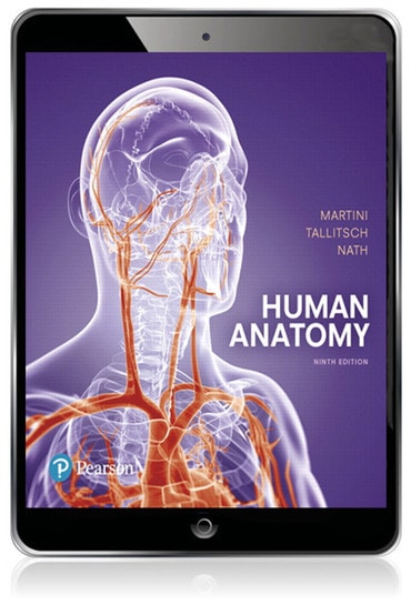 Human Anatomy, 9th edition