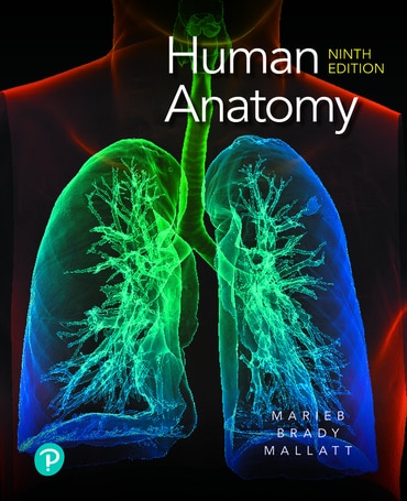 Human Anatomy, 9th edition