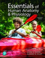 Essentials of Human Anatomy & Physiology, 13th edition