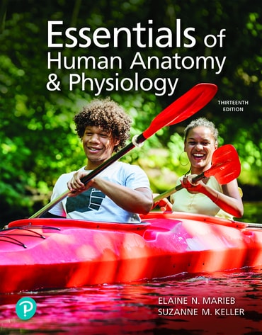 Essentials of Human Anatomy & Physiology, 13th edition