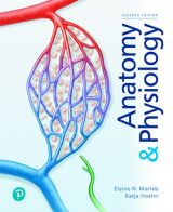 Anatomy & Physiology, 7th edition