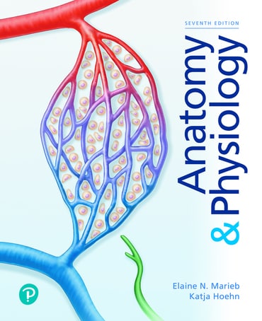 Anatomy & Physiology, 7th edition