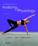 Fundamentals of Anatomy & Physiology, 11th edition pdf ebook