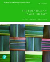 Essentials of Family Therapy, The, 7th edition