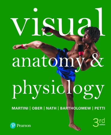 Visual Anatomy & Physiology, 3rd edition