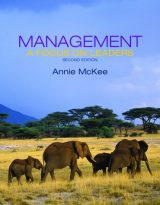 Management: A Focus on Leaders, 2nd edition