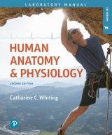 Human Anatomy & Physiology Laboratory Manual: Making Connections, Cat Version, 2nd edition