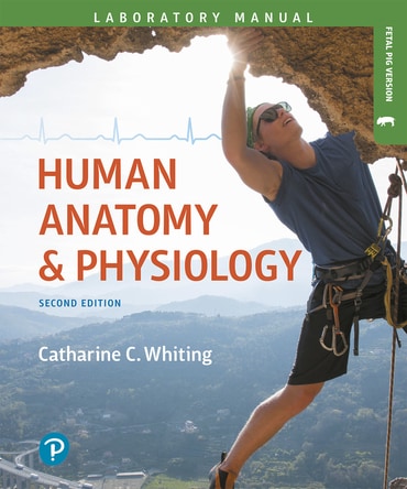 Human Anatomy & Physiology Laboratory Manual: Making Connections, Fetal Pig Version, 2nd edition