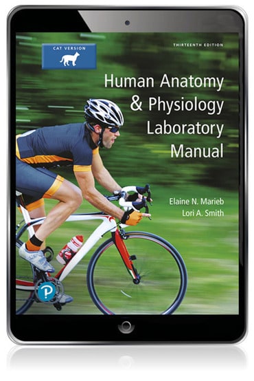 Human Anatomy & Physiology Laboratory Manual, Cat Version, 13th edition