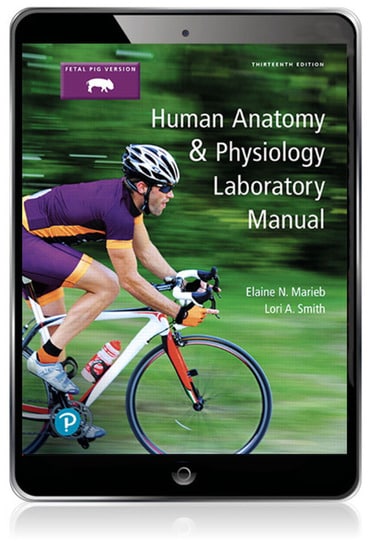 Human Anatomy & Physiology Laboratory Manual, Fetal Pig Version, 13th edition
