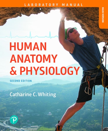 Human Anatomy & Physiology Laboratory Manual: Making Connections, Main Version, 2nd edition