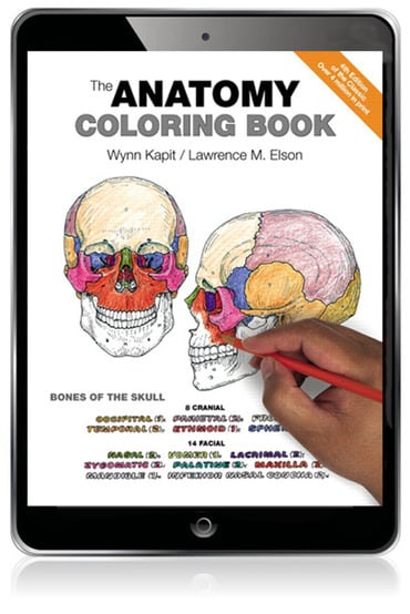 Anatomy Coloring Book, The, 4th edition