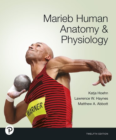 Marieb Human Anatomy & Physiology, 12th edition