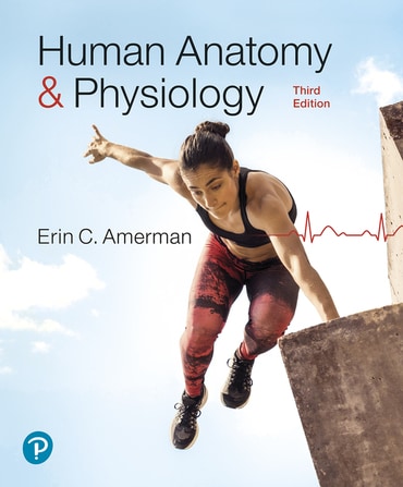 Human Anatomy & Physiology, 3rd edition