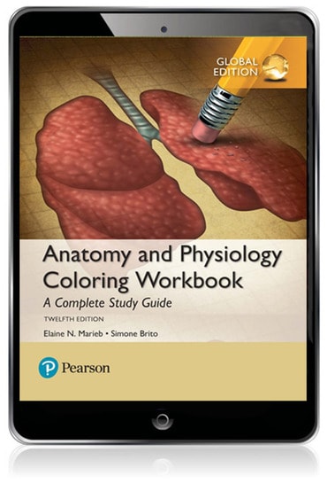 Anatomy and Physiology Coloring Workbook: A Complete Study Guide, Global Edition, 12th edition