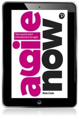 Agile Now: Your Quick Start Introduction To Agile, 1st edition