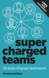 Supercharged Teams: Power Your Team With The Tools For Success, 1st edition