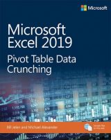Microsoft Excel 2019 Pivot Table Data Crunching, 1st edition